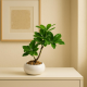 Artificial Plant